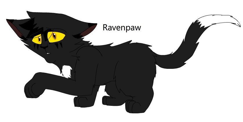 Wavey's Warriors Sideblog — Design 003 - Ravenpaw [2020 Design]