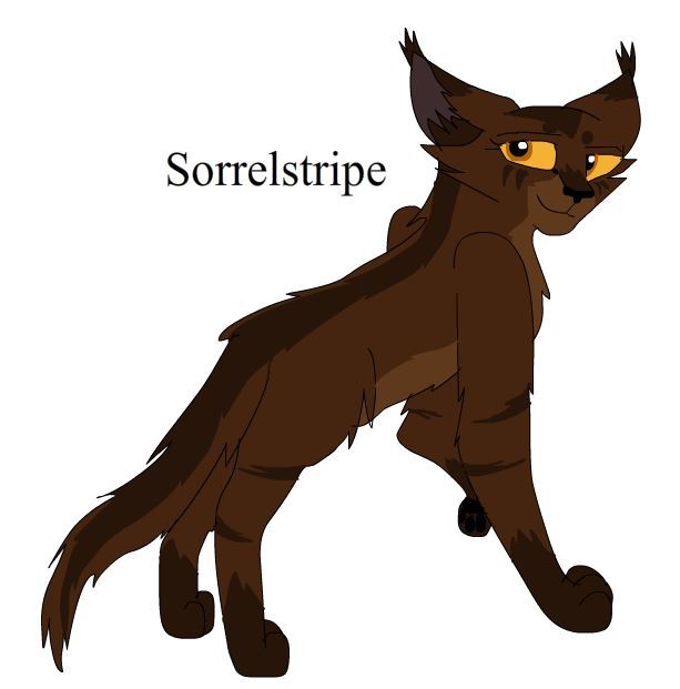 Warriors Design: Ravenpaw (2023) by theDawnmist on DeviantArt