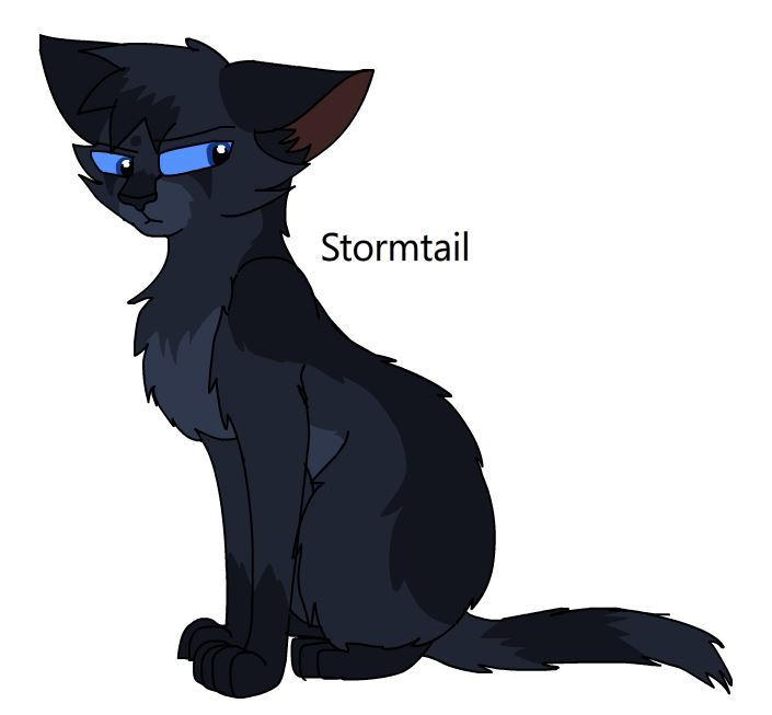 Stormtail Warriors Design #120: Stormtail by theDawnmist on DeviantArt