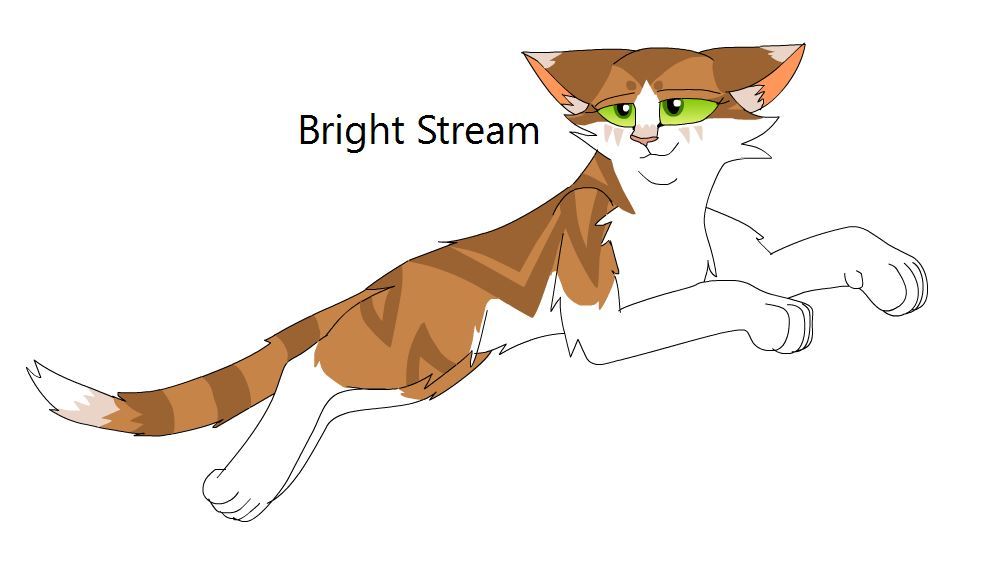 Warrior Cats - Warrior Design 2-3 by Winterstream on DeviantArt