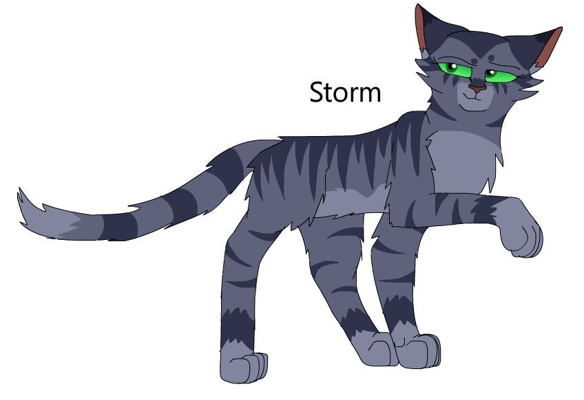 Warriors Design: Ravenpaw (2023) by theDawnmist on DeviantArt