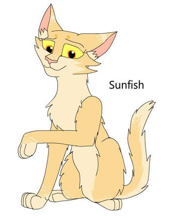 Wiki Description Sol by theDawnmist on DeviantArt