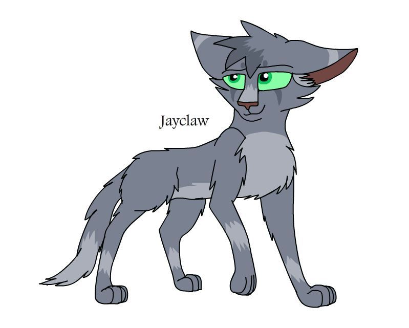 Warriors Design #83 Redesign: Jayfeather by theDawnmist on DeviantArt