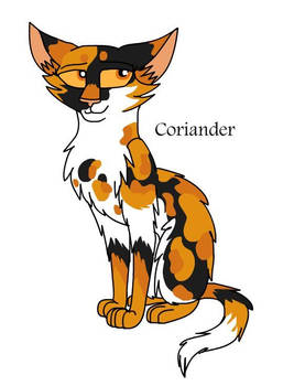 Warriors Design #334: Coriander