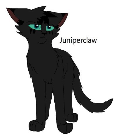 Juniperclaw Warriors Design #368: Juniperclaw by theDawnmist on DeviantArt