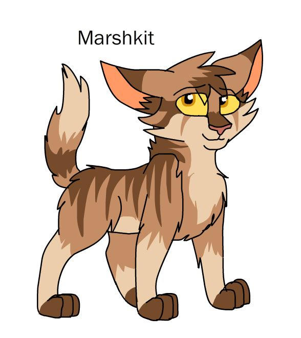 Marshkit, Warriors Wiki, Fandom