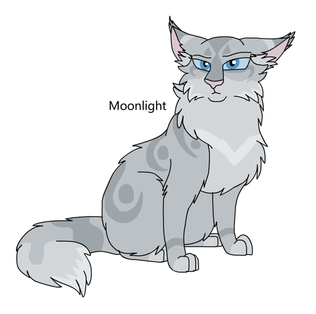 Warriors Design #1246: Midnight by theDawnmist on DeviantArt