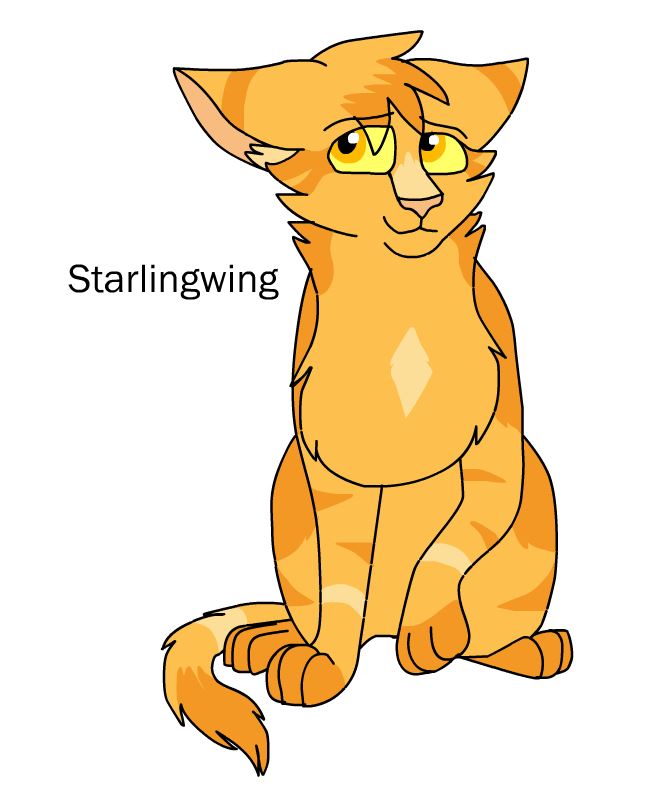 Warrior Cats: Into the Wild Designs by vanjanijanac08 on DeviantArt