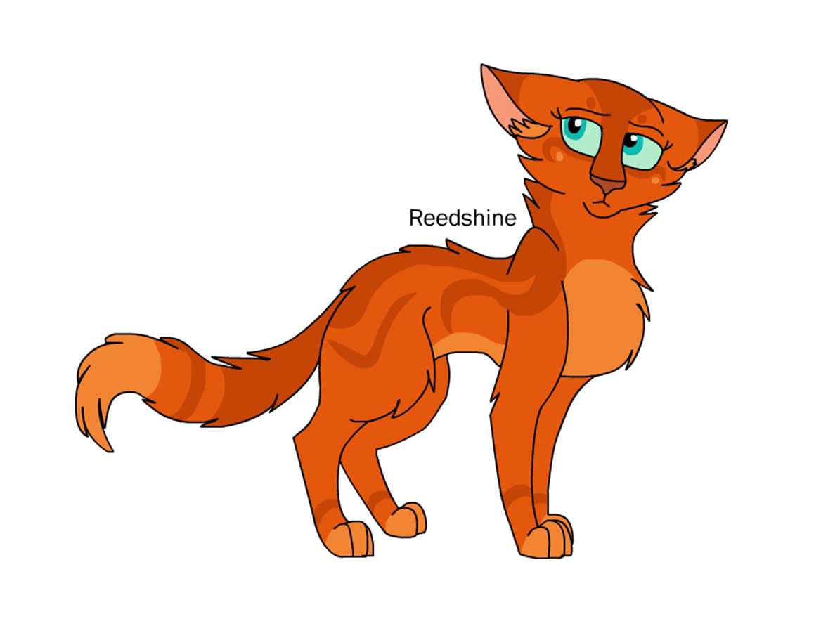 Warrior Cats Designs -- Firestar by Pikayu9 on DeviantArt