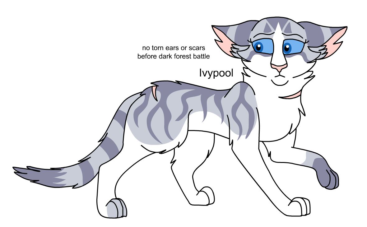 Ivypool Design Warriors Design #105 Redesign: Ivypool by theDawnmist on DeviantArt