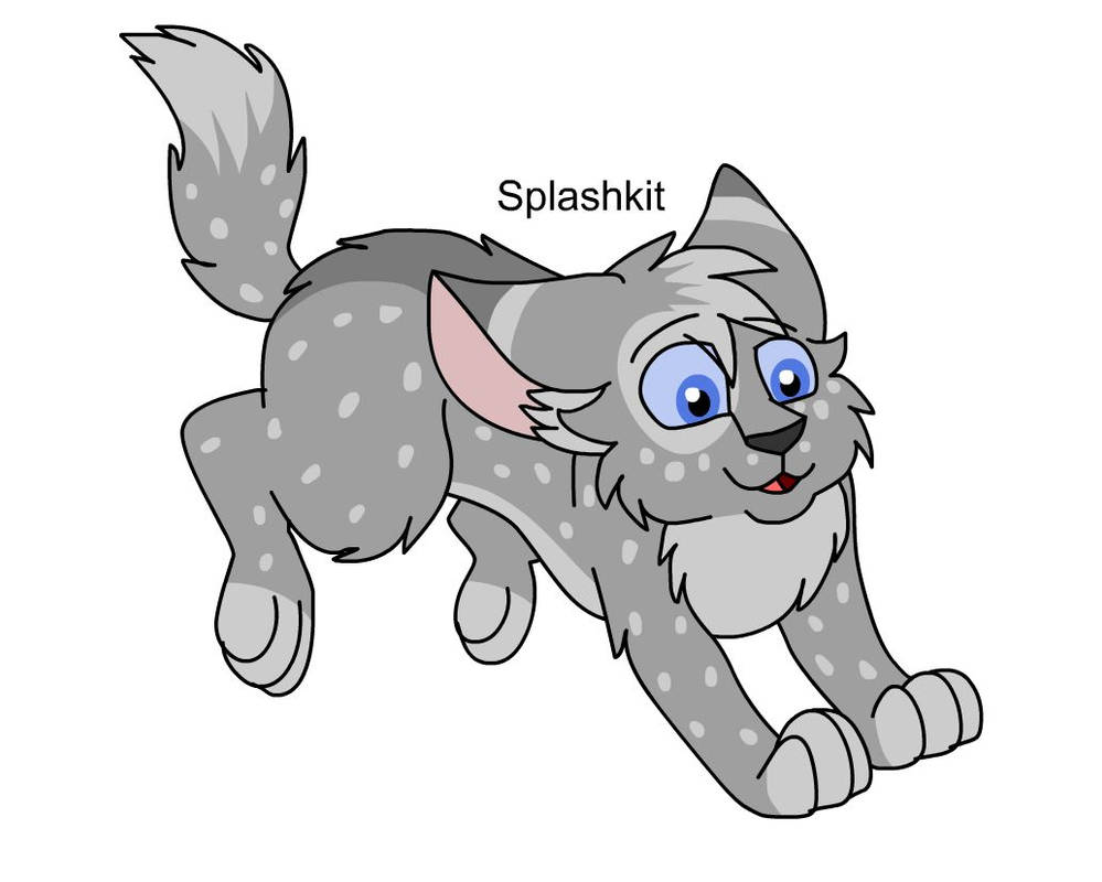 Warriors Design #572: Splashkit by theDawnmist on DeviantArt