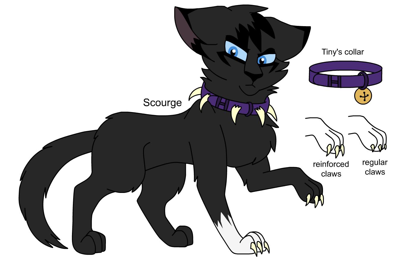 Warriors Design #29 Redesign: Scourge by theDawnmist on DeviantArt