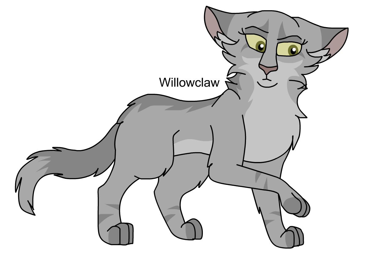 Part 2 of random warrior cats characters by Willowlynxstrom on DeviantArt