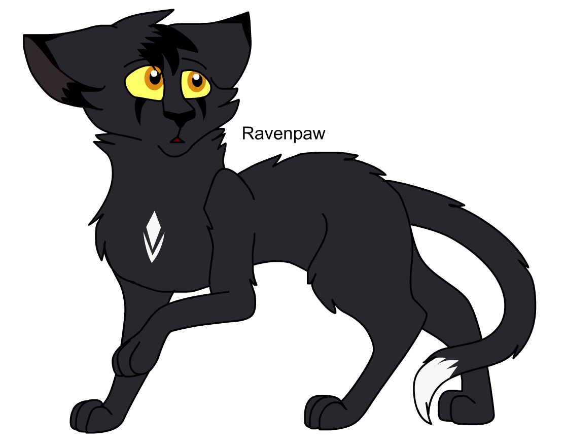 Ravenpaw [Warrior cats] by ShaDowL09 on DeviantArt