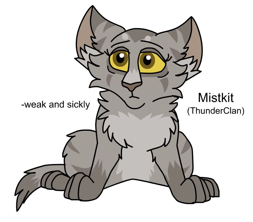 Warriors Design: Ashfur (2022) by theDawnmist on DeviantArt