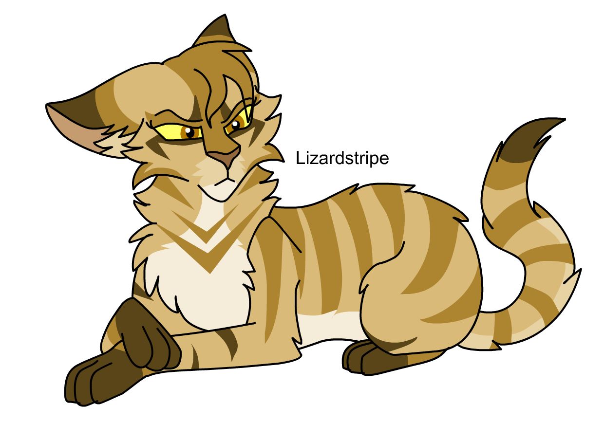 Warriors Design: Ravenpaw (2023) by theDawnmist on DeviantArt