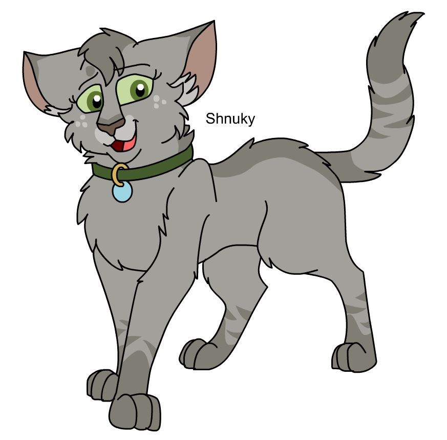 Warriors Design: Ravenpaw (2023) by theDawnmist on DeviantArt