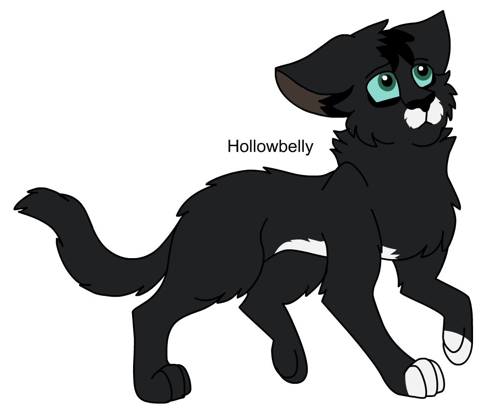 Warrior Cats Midnight Redo by BLlNK on DeviantArt