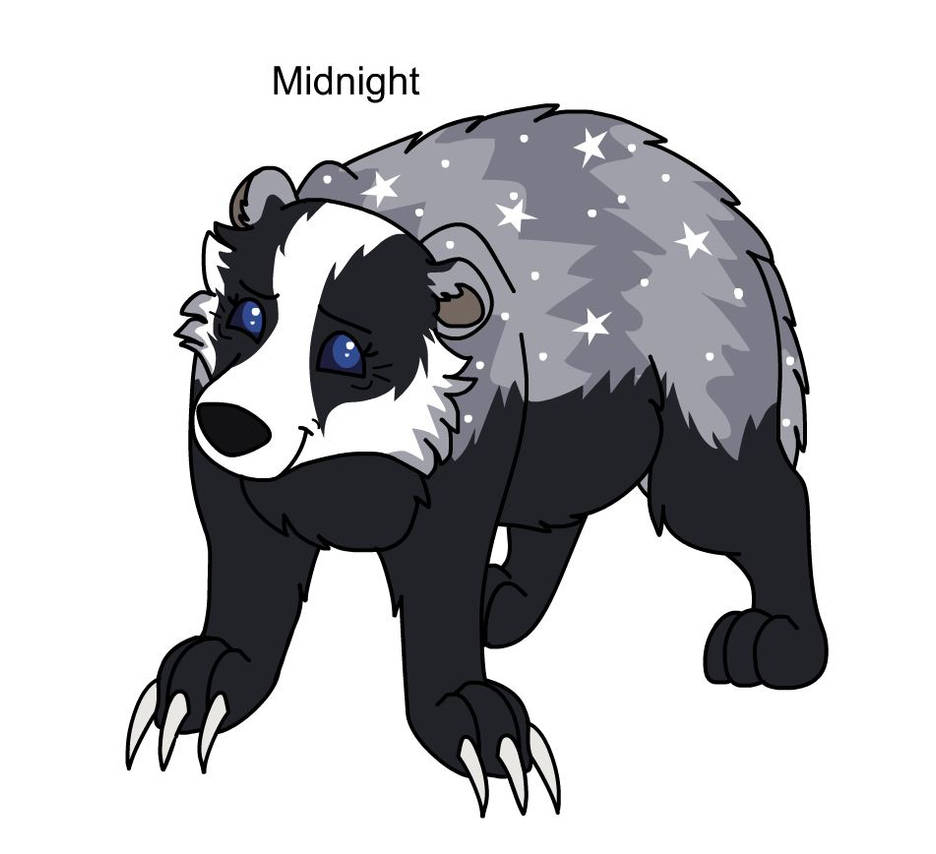 Midnight the Badger