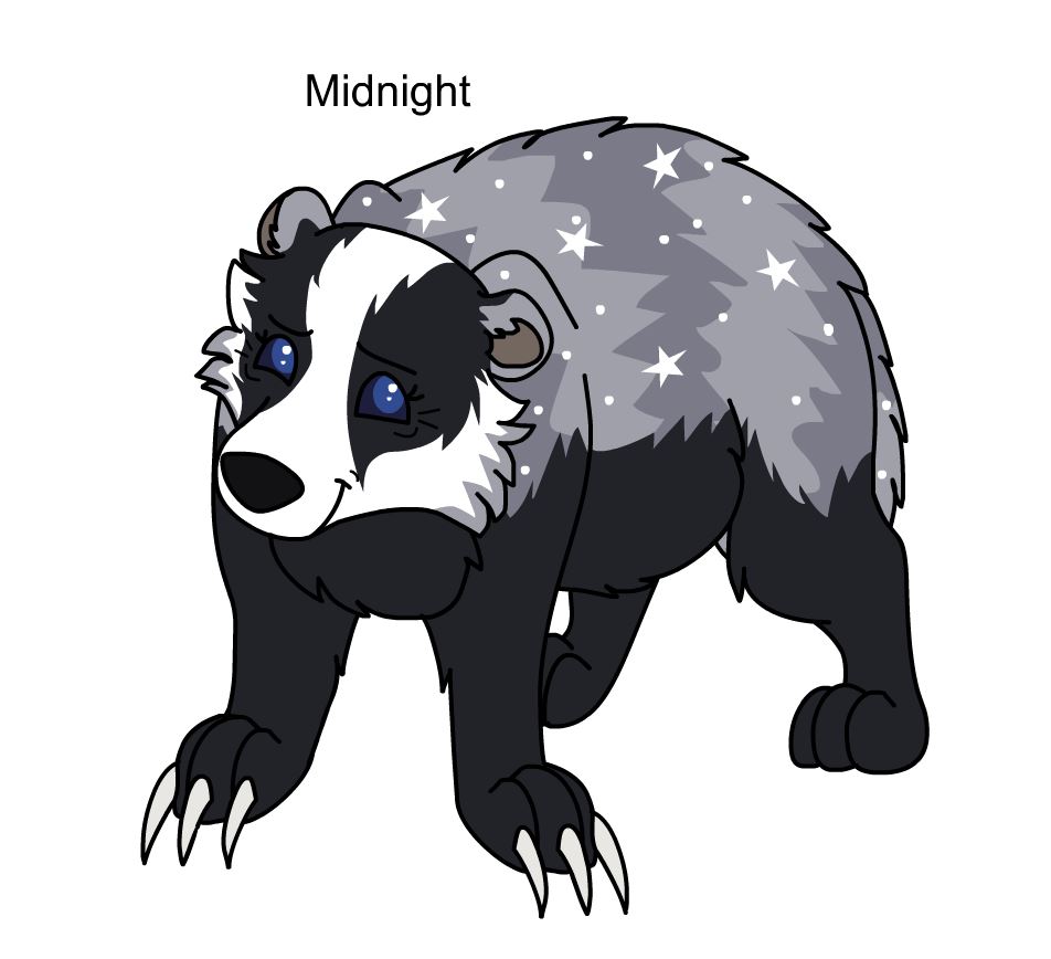 Warriors Design #1246: Midnight by theDawnmist on DeviantArt