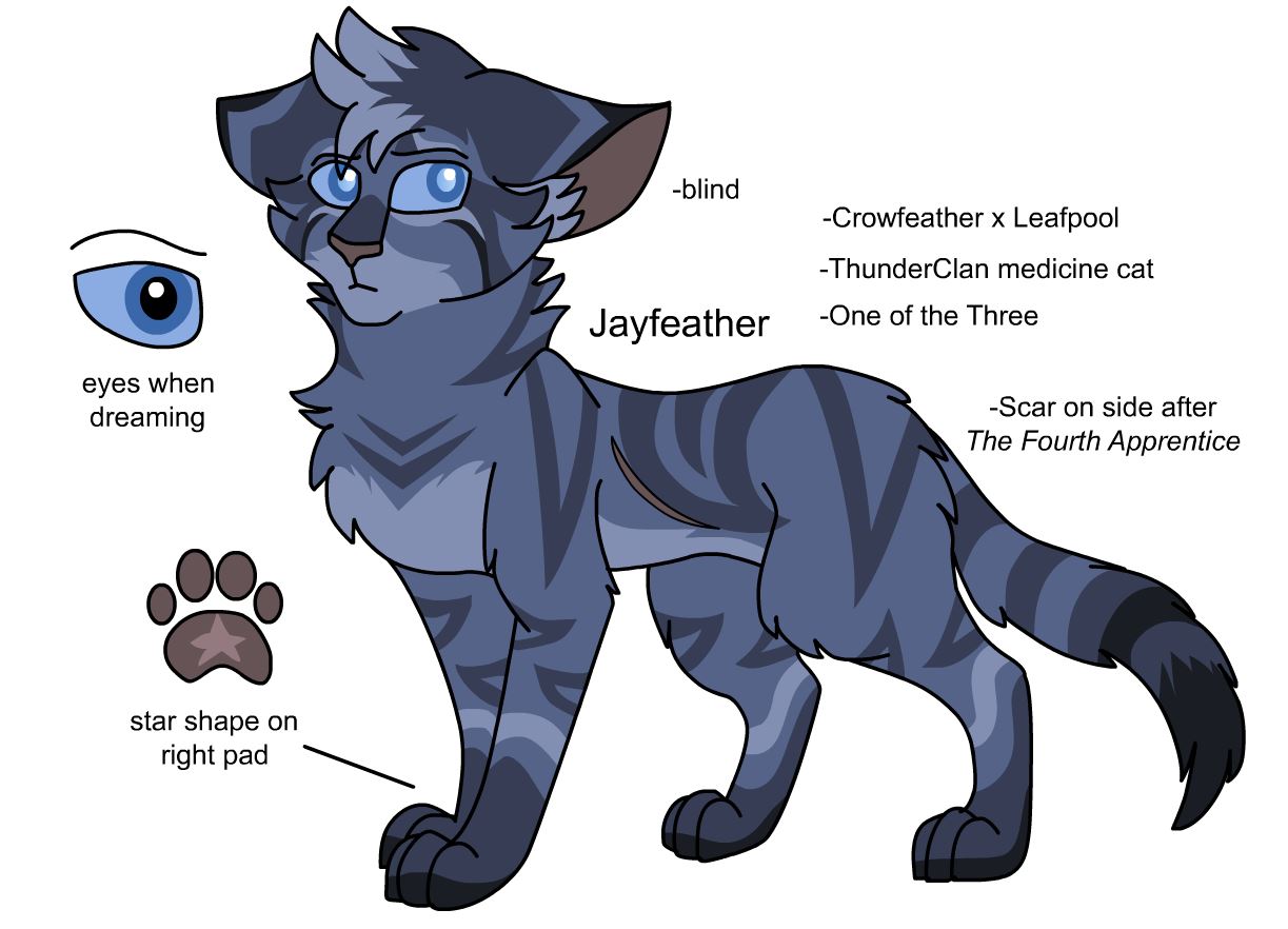 Warriors Design: Ravenpaw (2023) by theDawnmist on DeviantArt