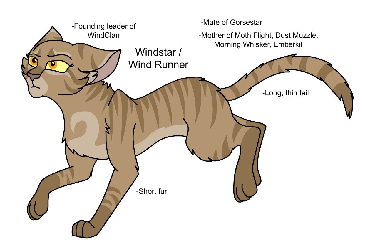 Windstar, Warriors Wiki