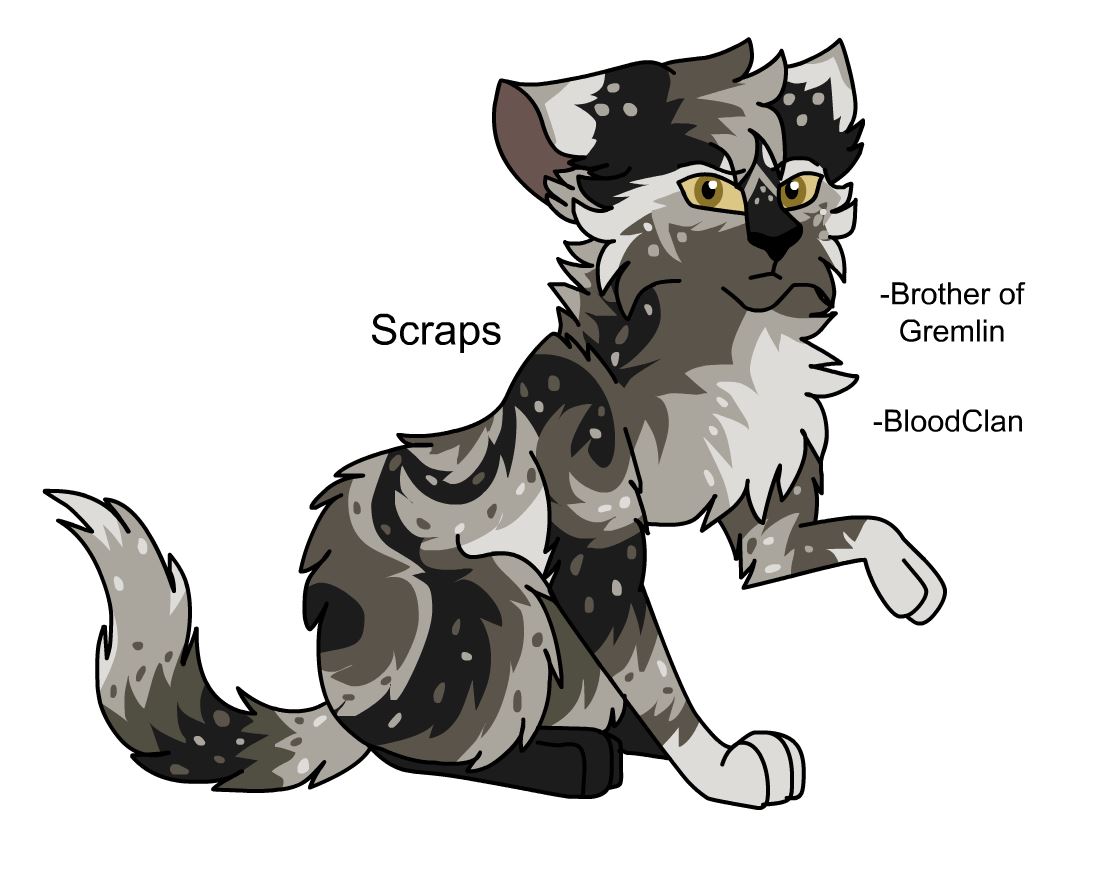 Warriors Design #29 Redesign: Scourge by theDawnmist on DeviantArt