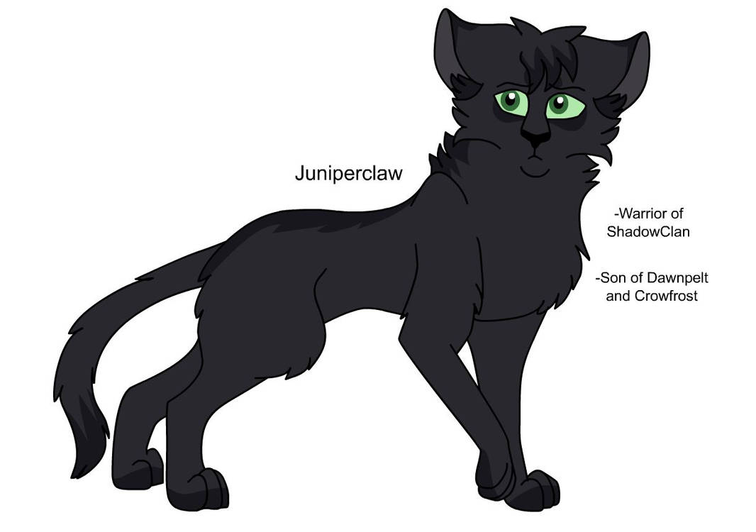 Juniperclaw Warriors Design: Juniperclaw by theDawnmist on DeviantArt