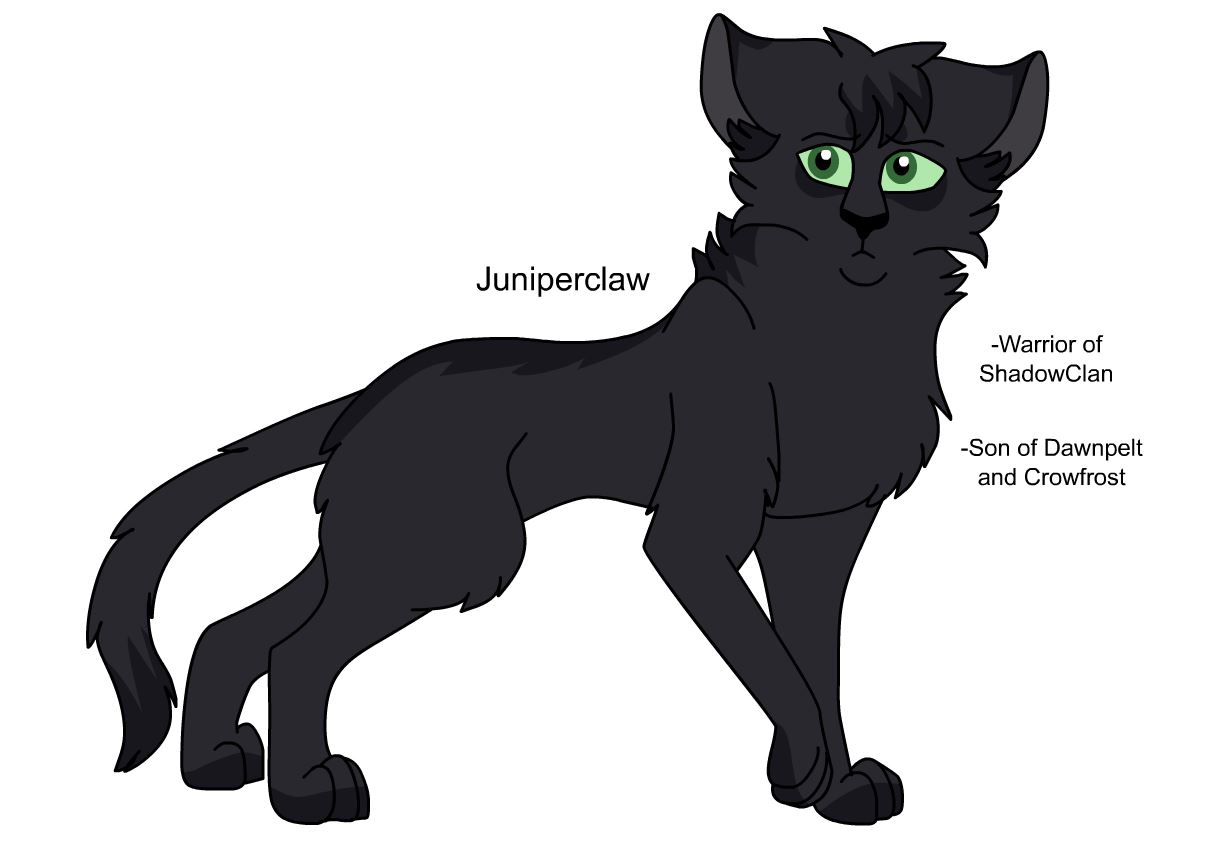 Warriors Design: Ravenpaw (2023) by theDawnmist on DeviantArt