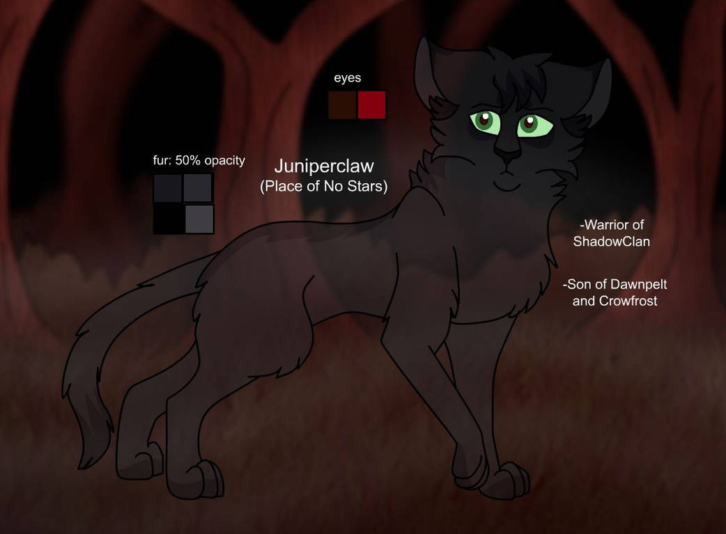 Juniperclaw Warriors Design: Juniperclaw (Dark Forest) by theDawnmist on DeviantArt