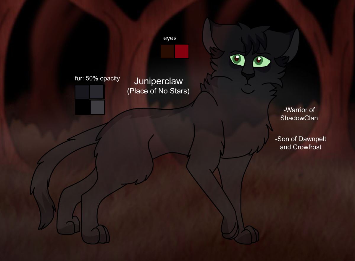 Juniperclaw Warriors Design: Juniperclaw (Dark Forest) by theDawnmist on DeviantArt