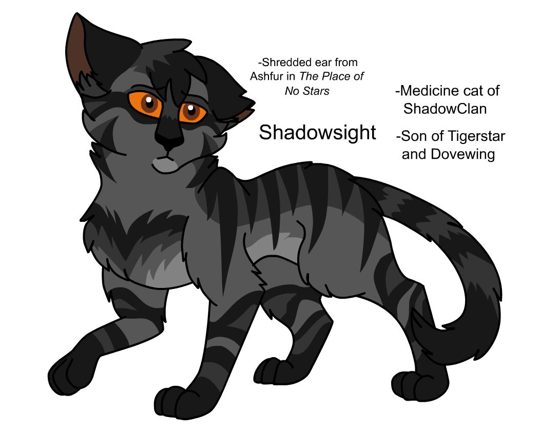 Warriors Design: Ravenpaw (2023) by theDawnmist on DeviantArt