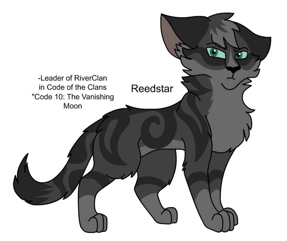 Deviantart Reedster Warriors Design: Reedstar by theDawnmist on DeviantArt