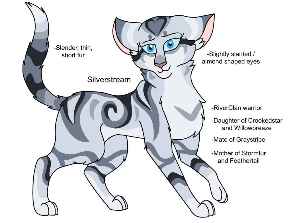 Warriors Design: Silverstream (2022) by theDawnmist on DeviantArt