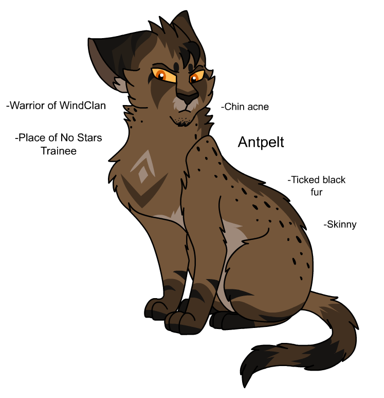 Warriors Design: Firestar (2022) by theDawnmist on DeviantArt