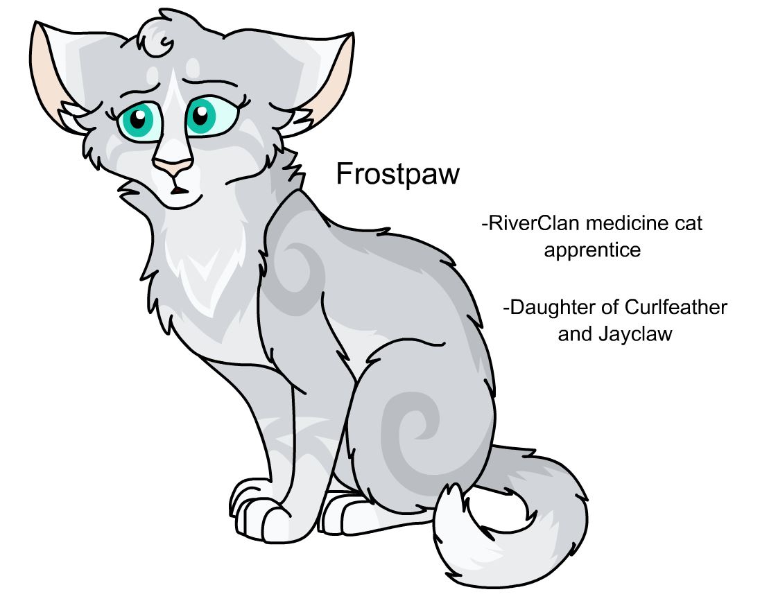 Warriors Design: Ravenpaw (2023) by theDawnmist on DeviantArt