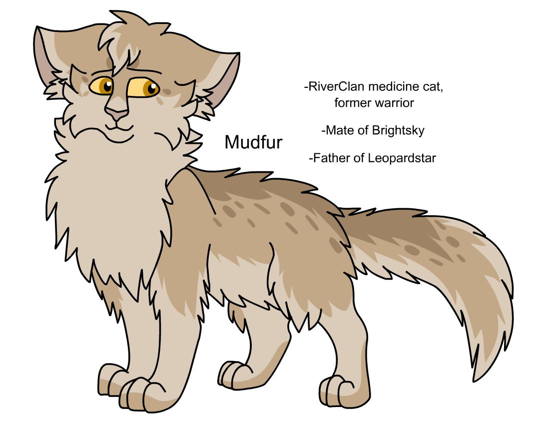 Warriors Design #875: Ashfur (TBC) by theDawnmist on DeviantArt