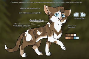 Warriors Design: Puddleshine (2022)