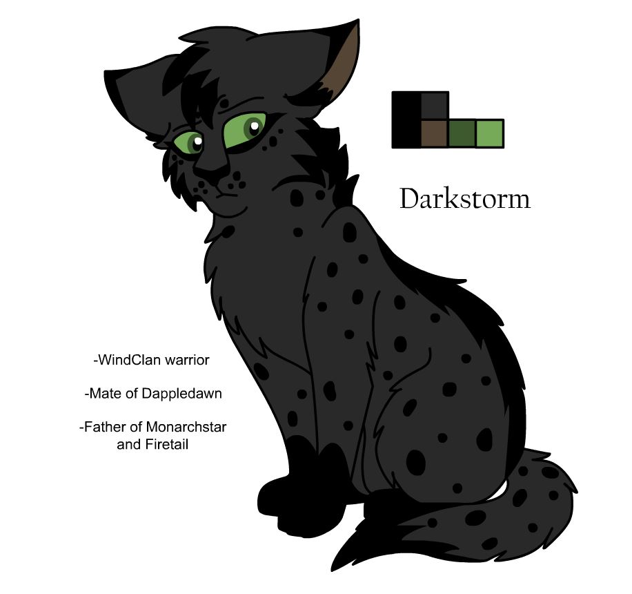 Warriors Design: Ravenpaw (2023) by theDawnmist on DeviantArt