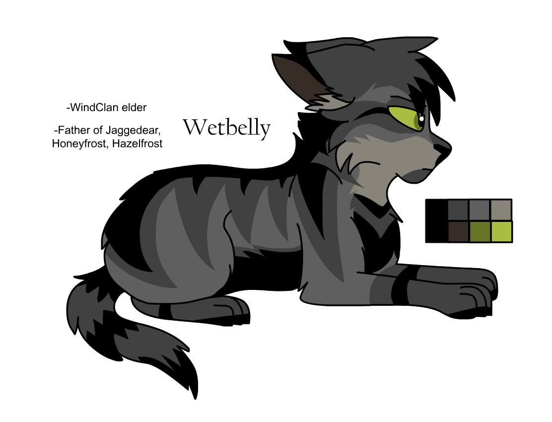 Warriors Design: Ravenpaw (2023) by theDawnmist on DeviantArt