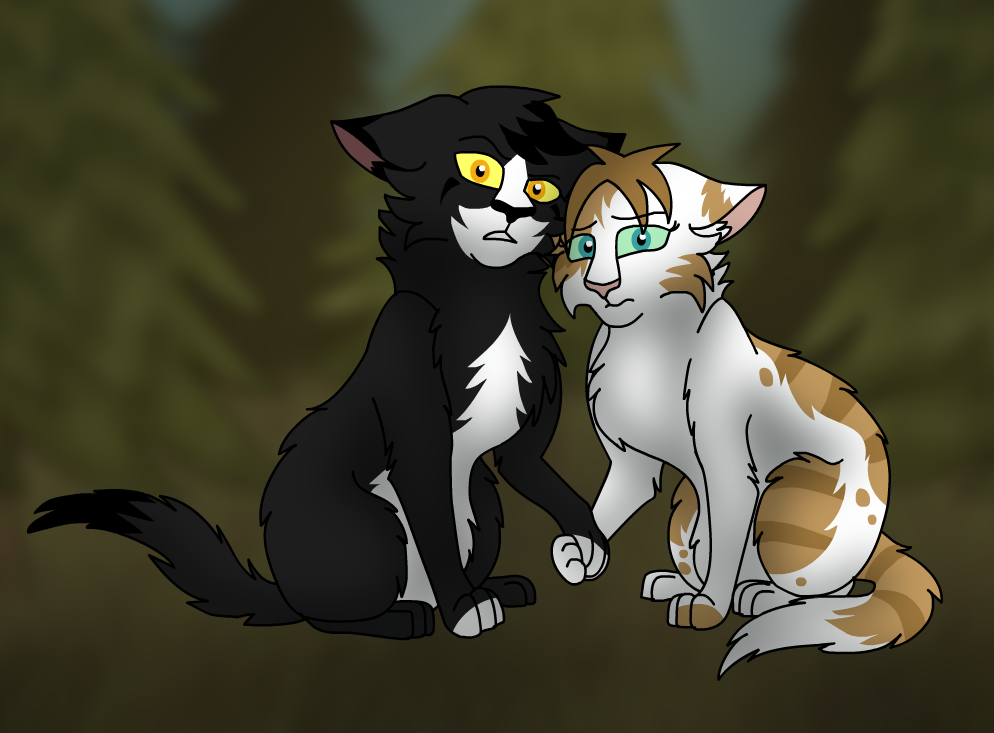 Warrior Cats by Kityote on DeviantArt