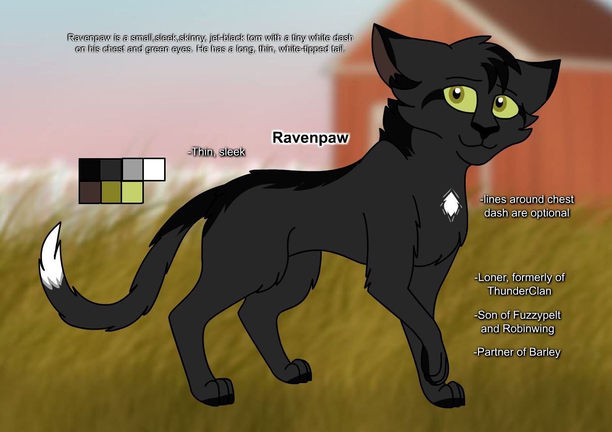 Warriors: Ravenpaw by Nightryx on DeviantArt