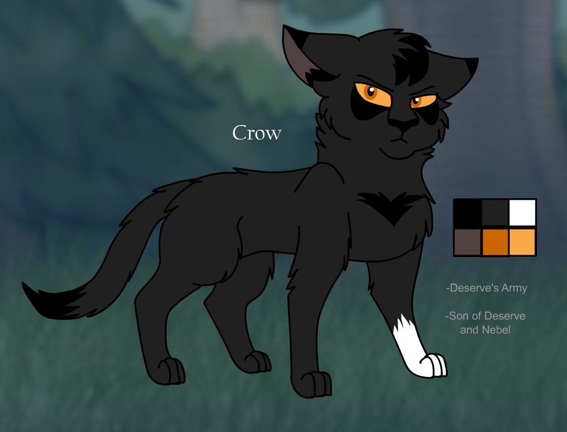 Warriors Design: Ravenpaw (2023) by theDawnmist on DeviantArt