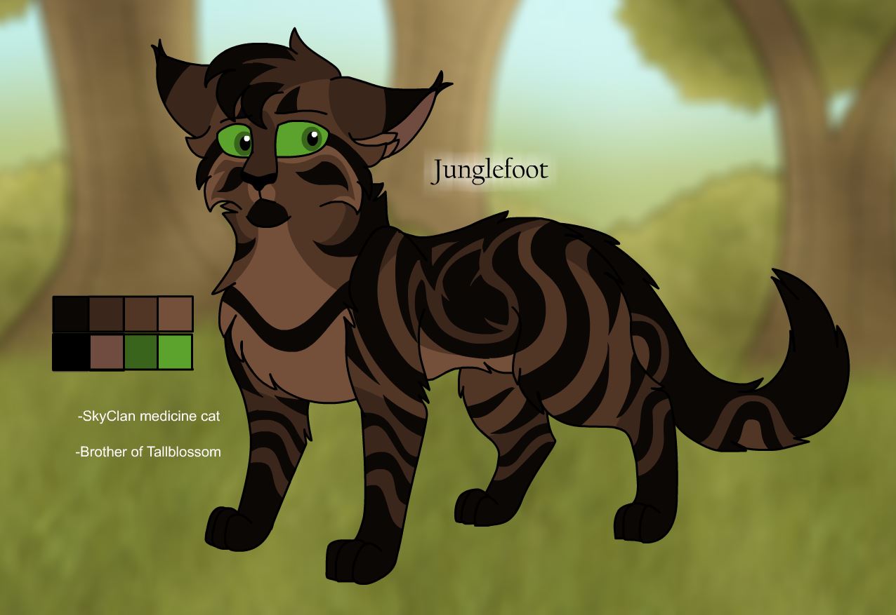 Medicine Cats (Warrior Cat Character Sheet) by WarriorCat3042 on