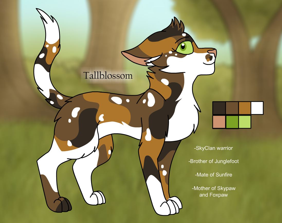 Jayfeather Character Sheet by Nightrizer on DeviantArt