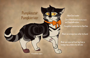 ClanGen OC: Pumpkinstar / Pumpkinriver