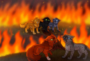 The Fire - 2024 Redraw