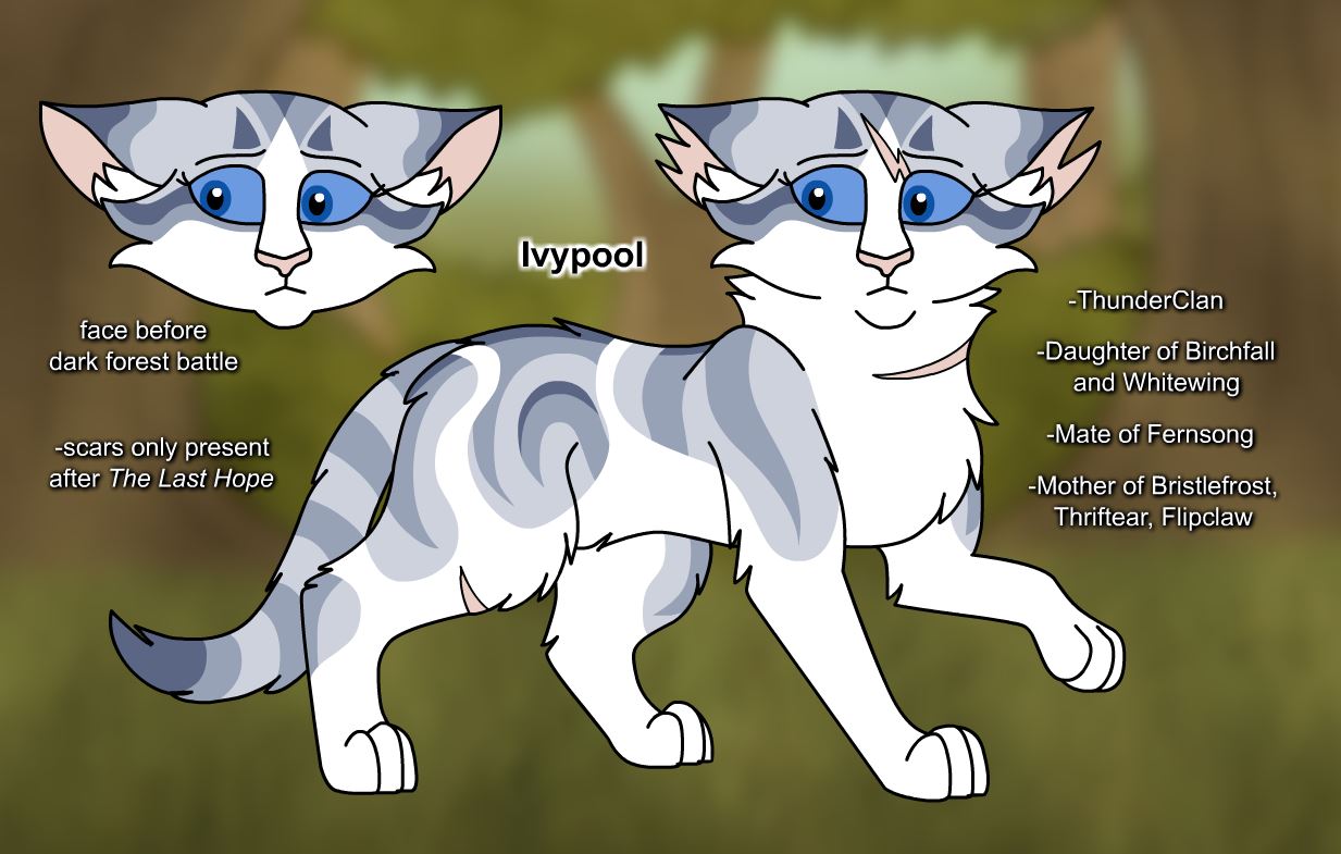 Ivypool Design Warriors Design: Ivypool (2024) by theDawnmist on DeviantArt