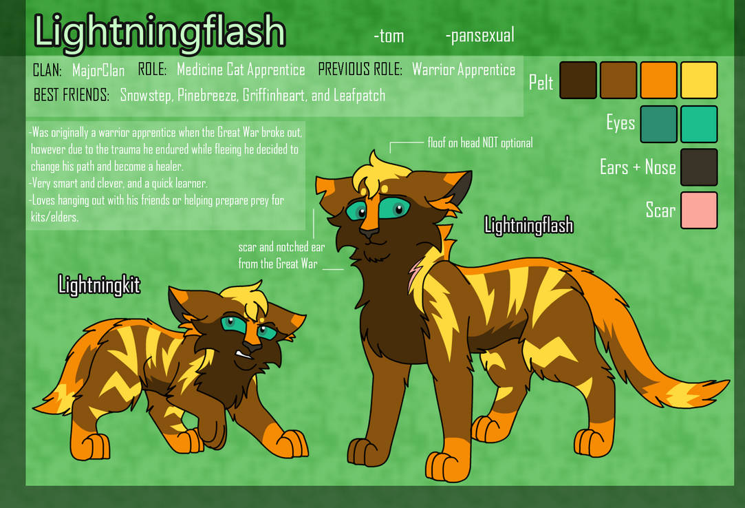 Lightningflash Reference Sheet by theDawnmist on DeviantArt
