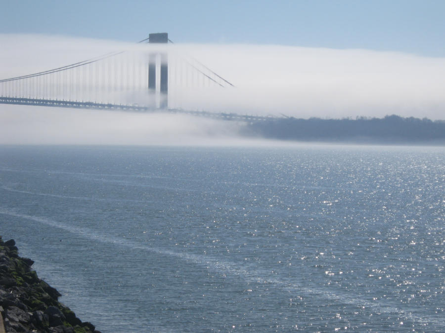 Fog on the bridge